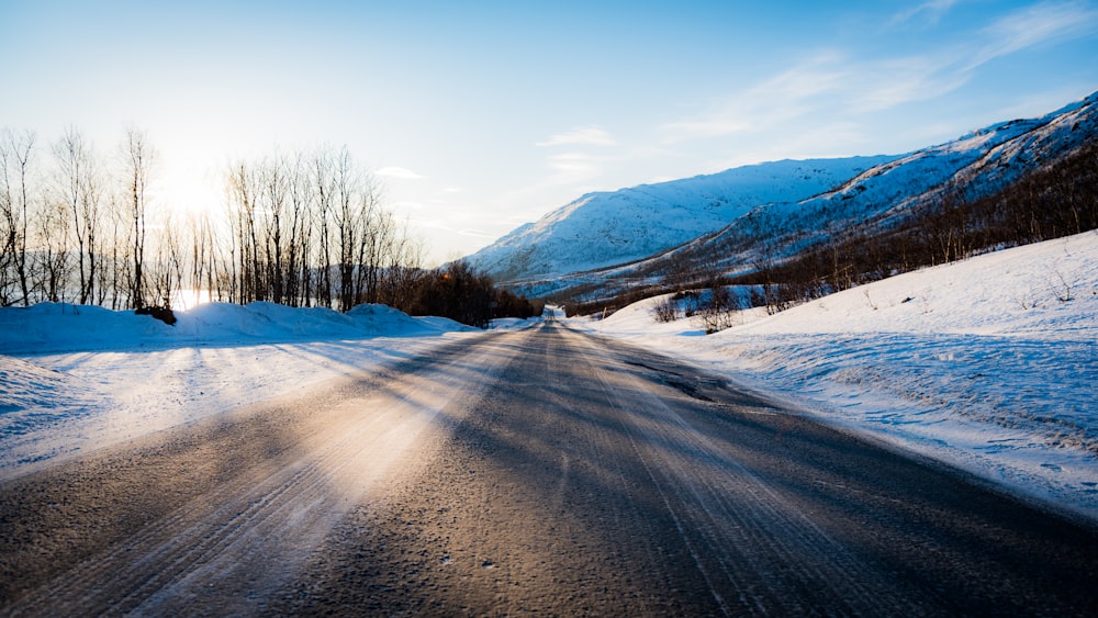 narrow asphalt road near snows