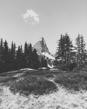 A striking black and white photograph featuring a rugged mountain peak in the background, surrounded by a dense forest of tall evergreen trees. The foreground shows an open meadow with patches of snow and grass, leading the eye further into the image. A small white cloud floats in the sky above the mountain.