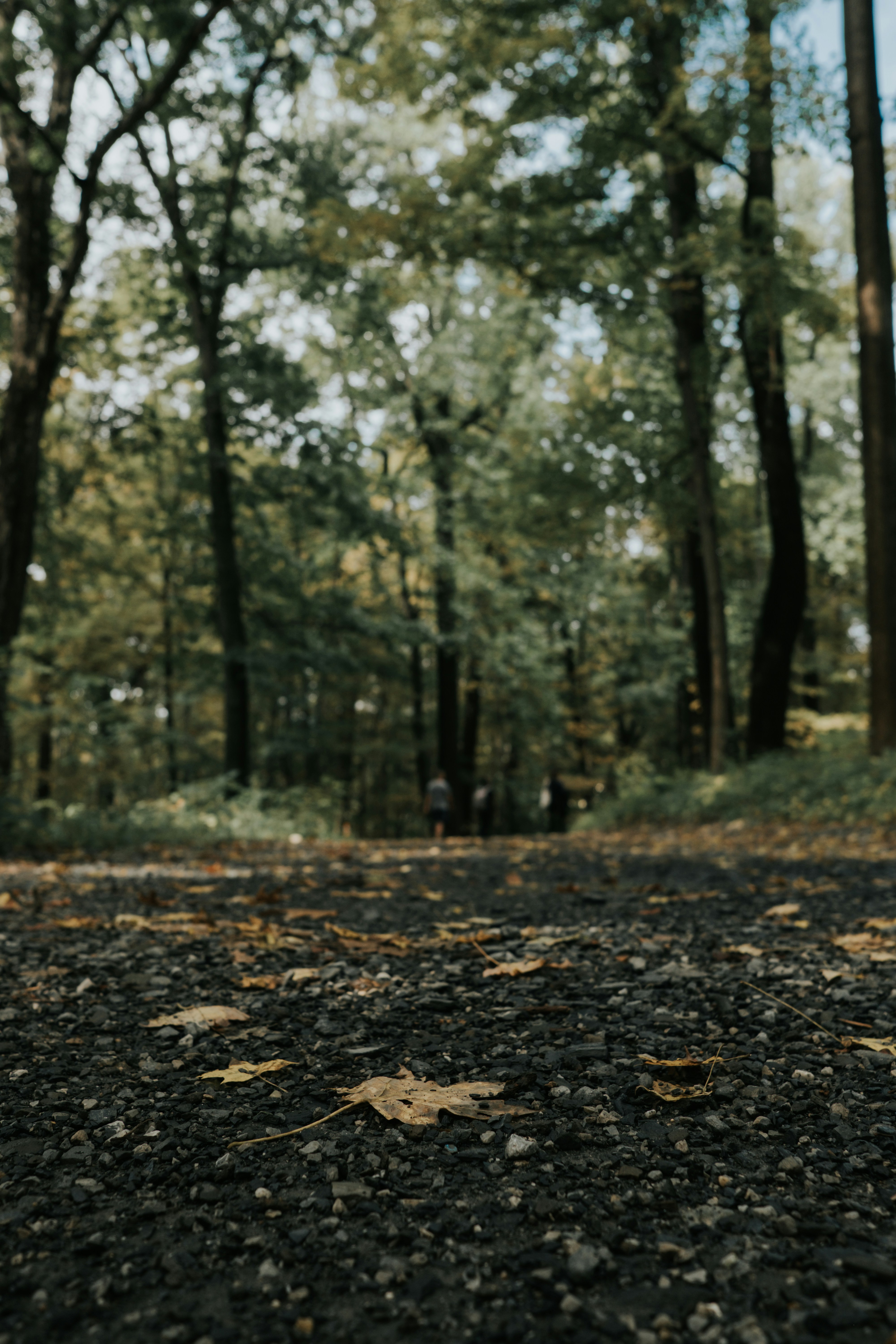 Photo by sapanpatel123