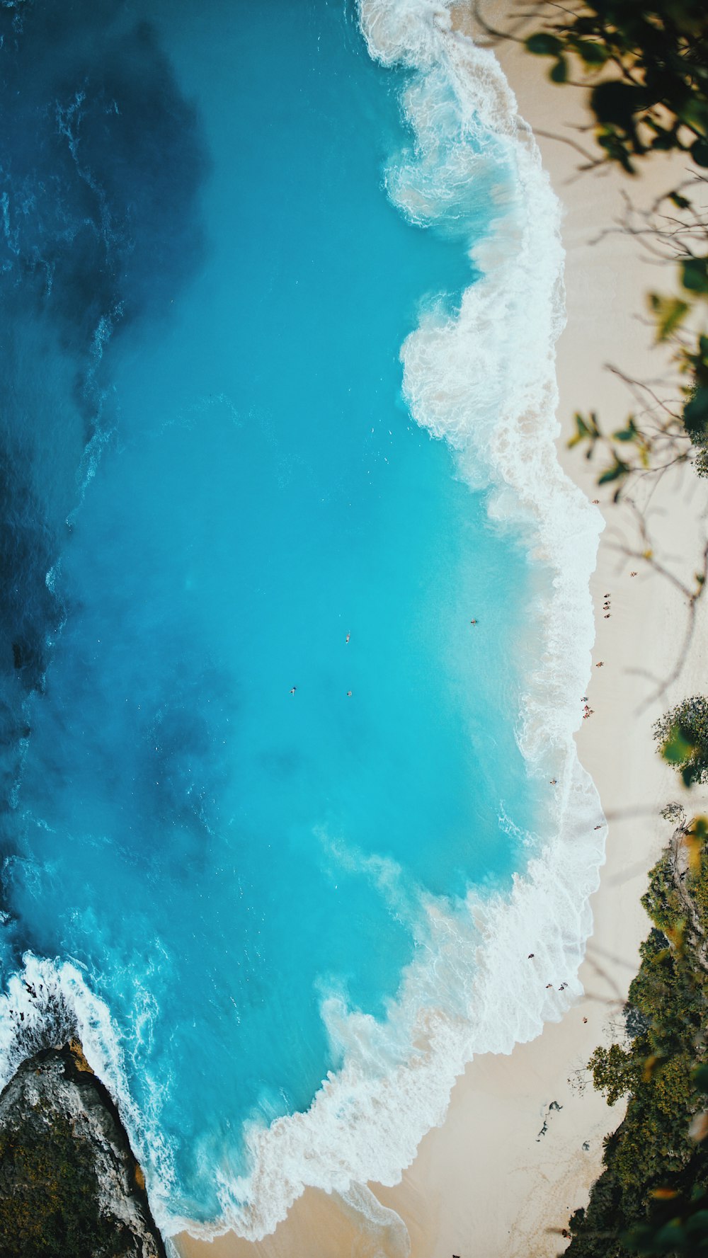 bird's eyeview of seashore