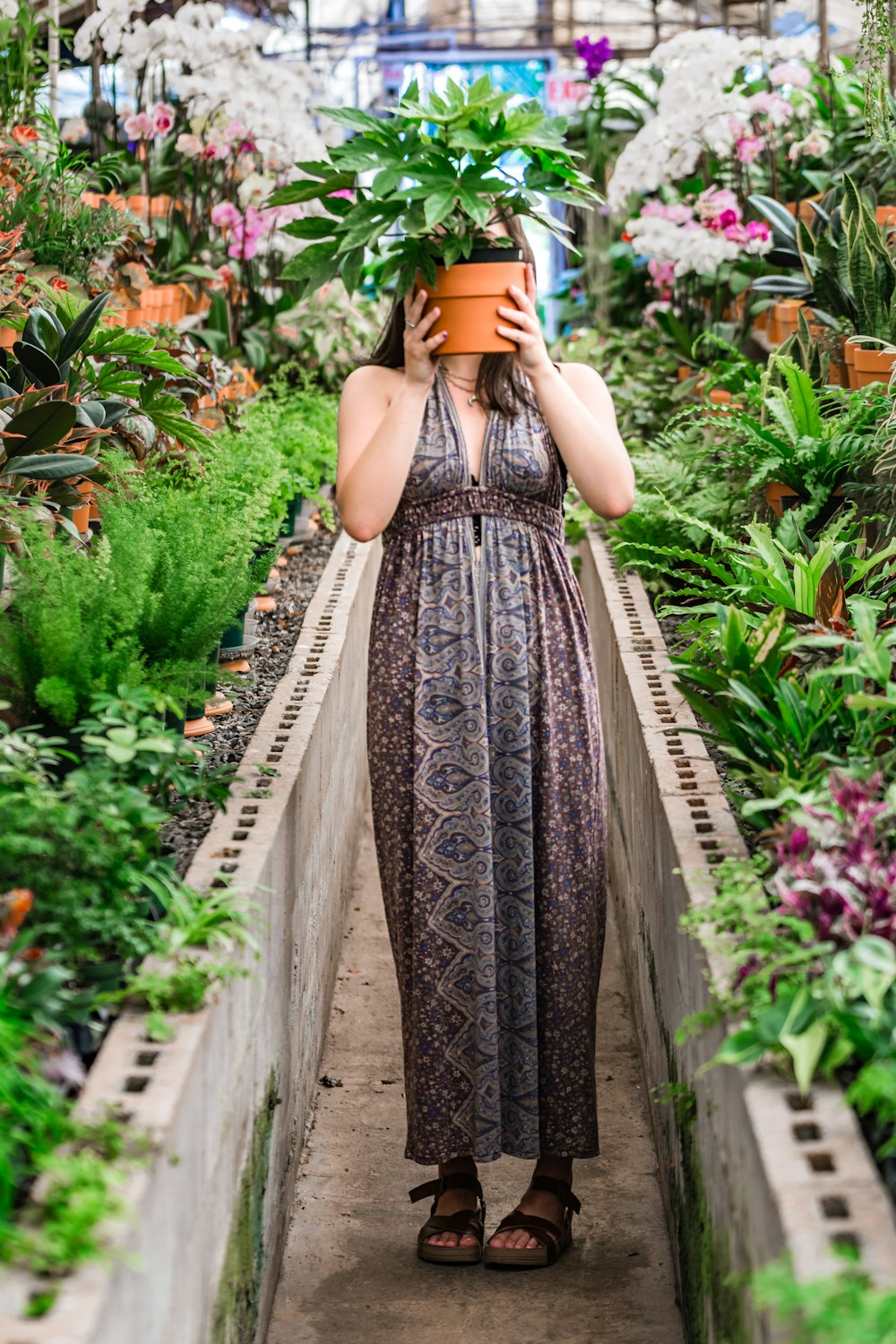 woman holding pot of plant