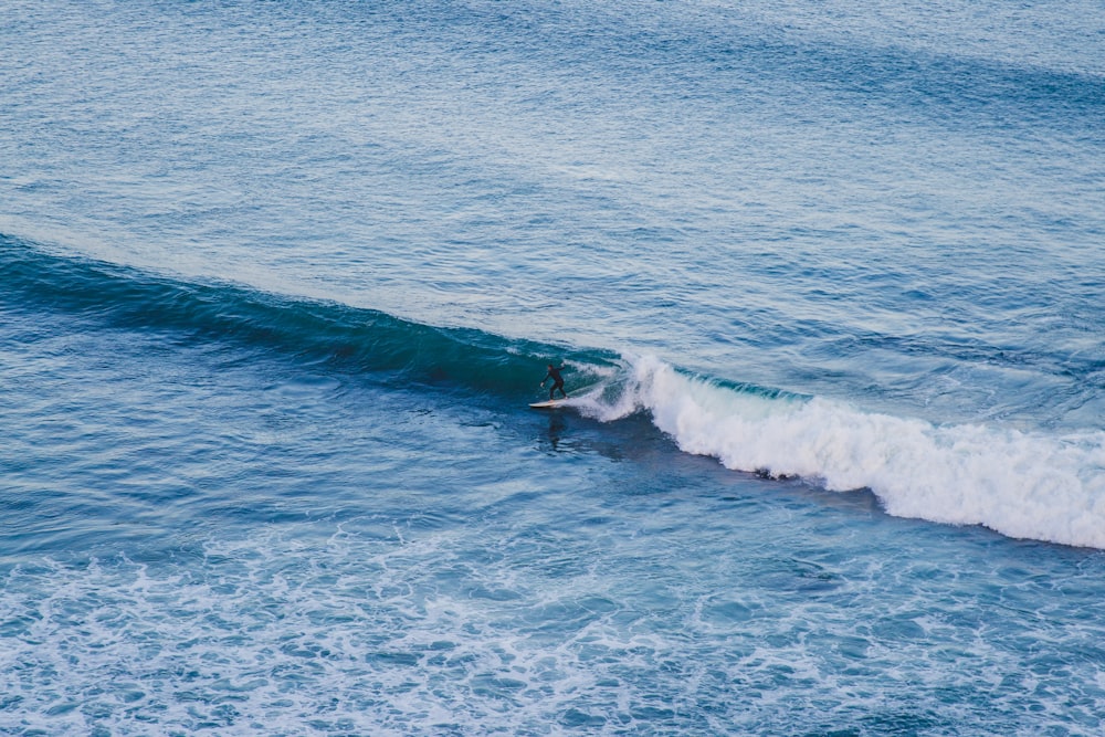 Persona che fa surf sulle onde durante il giorno