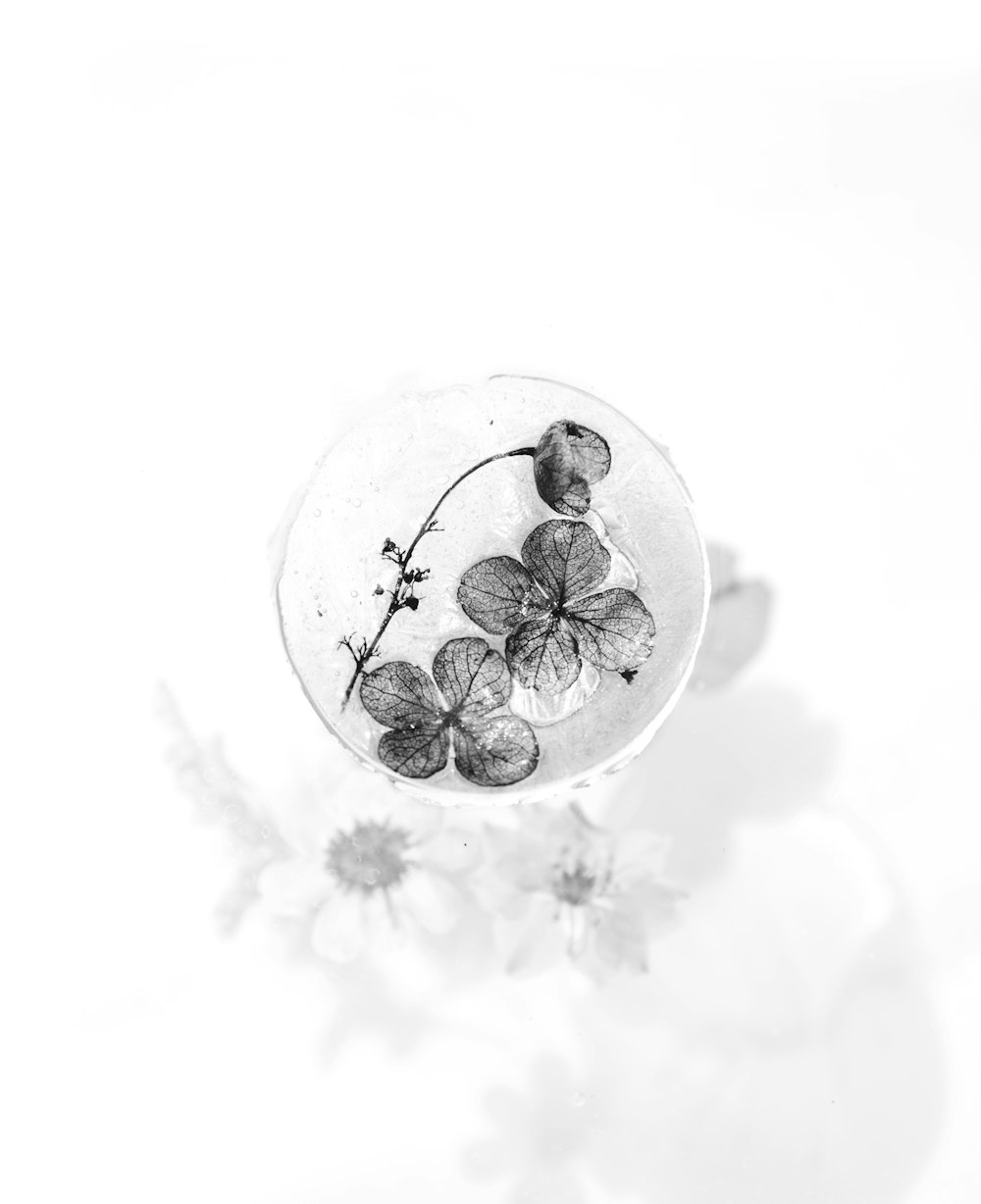 aerial photography of drinking glass