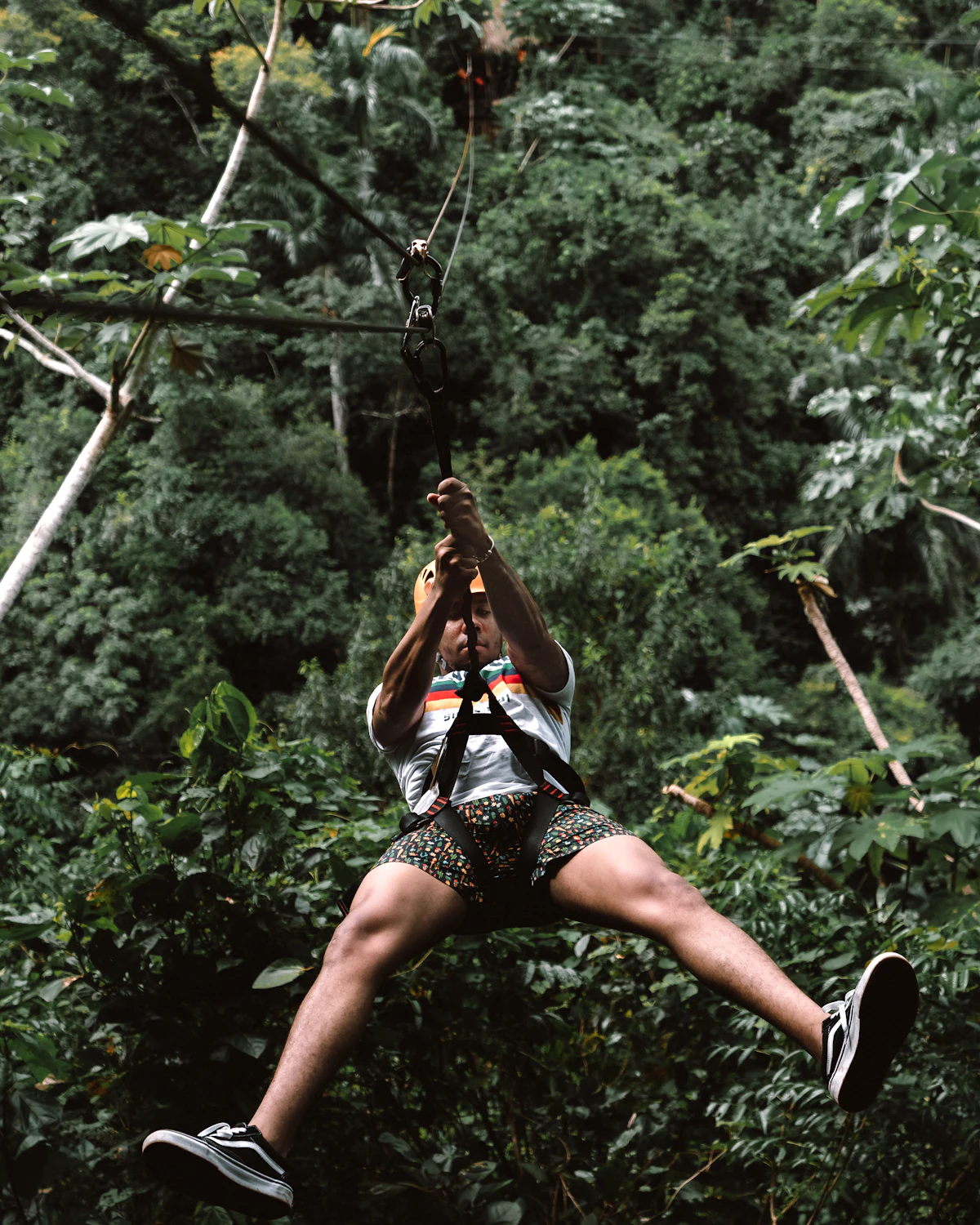Zip Line / Tirolina