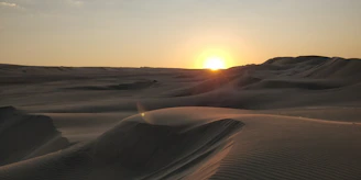 A golden sunset casting long shadows over the rolling dunes of the Merzouga desert.