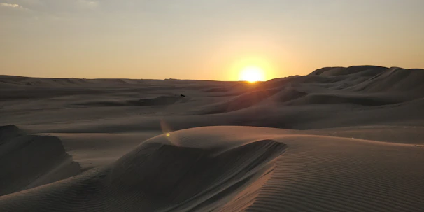 A golden sunset casting long shadows over the rolling dunes of the Merzouga desert.
