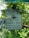 A sign is surrounded by green foliage on the side of a road. The sign reads 'Protected by Operation Identification. Criminals Beware. Town of Cortlandt Crime Prevention' and has an image of a pair of watchful eyes labeled 'Crime Watch'.