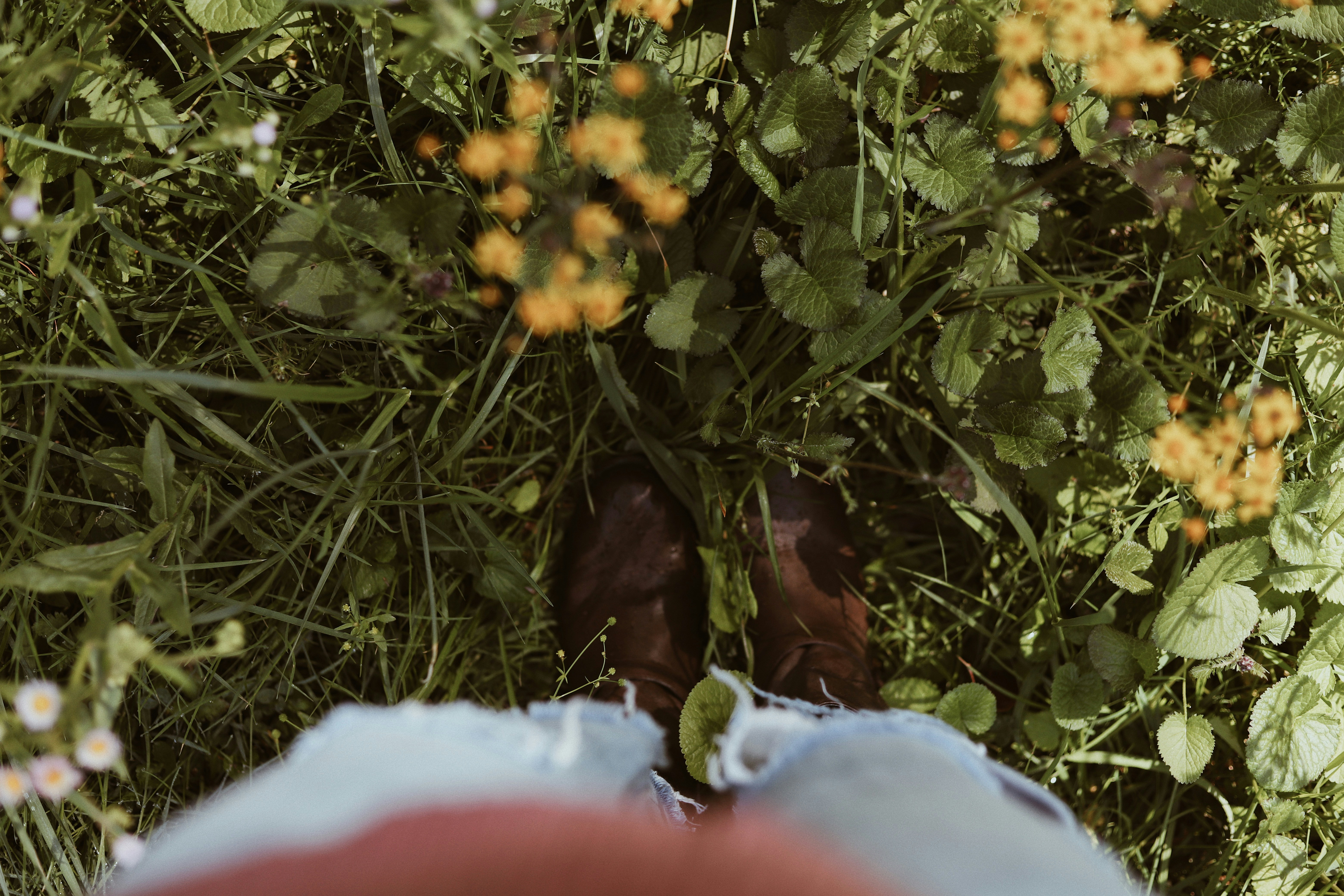 Photo by amyjoyhumphries