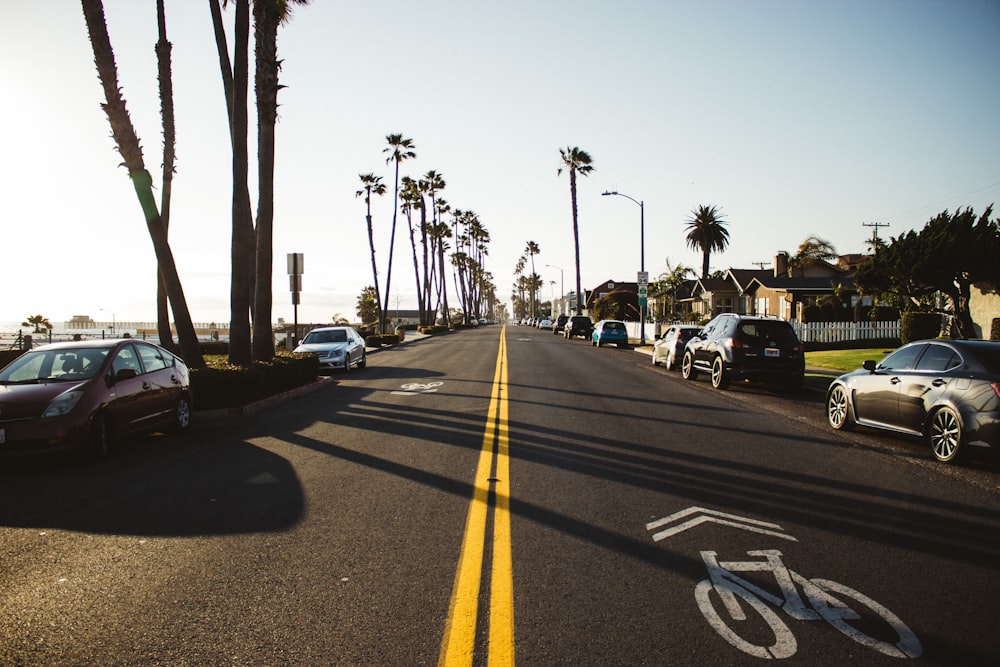 landscape photography of road