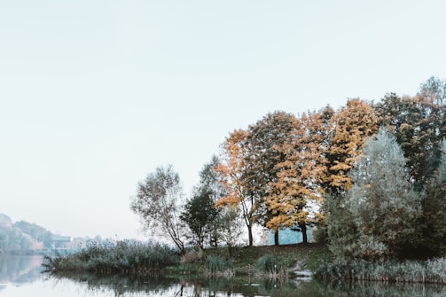 A serene landscape of a quiet lake surrounded by autumn trees.