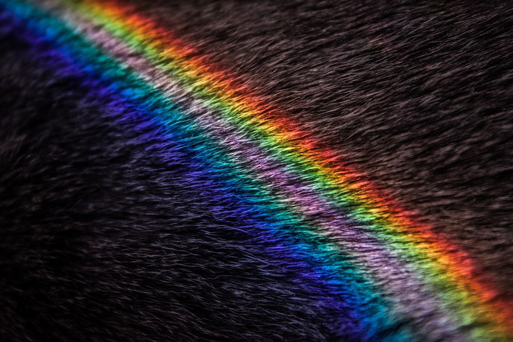 a close up of a rainbow colored animal fur