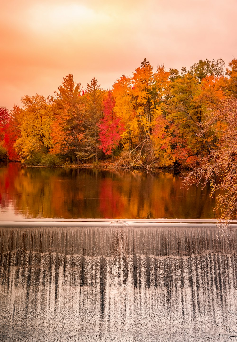 dam among autumn color trees