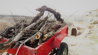 Delivery van unloading a Brozero brasero with stacked firewood arriving at a riverside picnic spot.