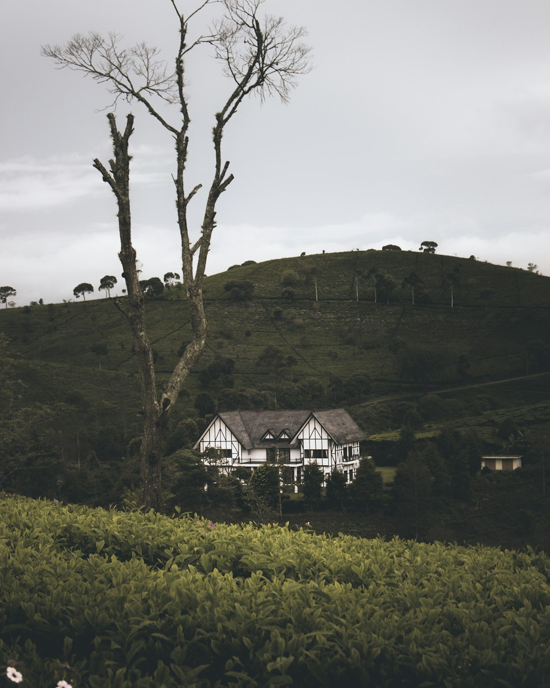 Hill photo spot Sunrise Point Cukul Garut