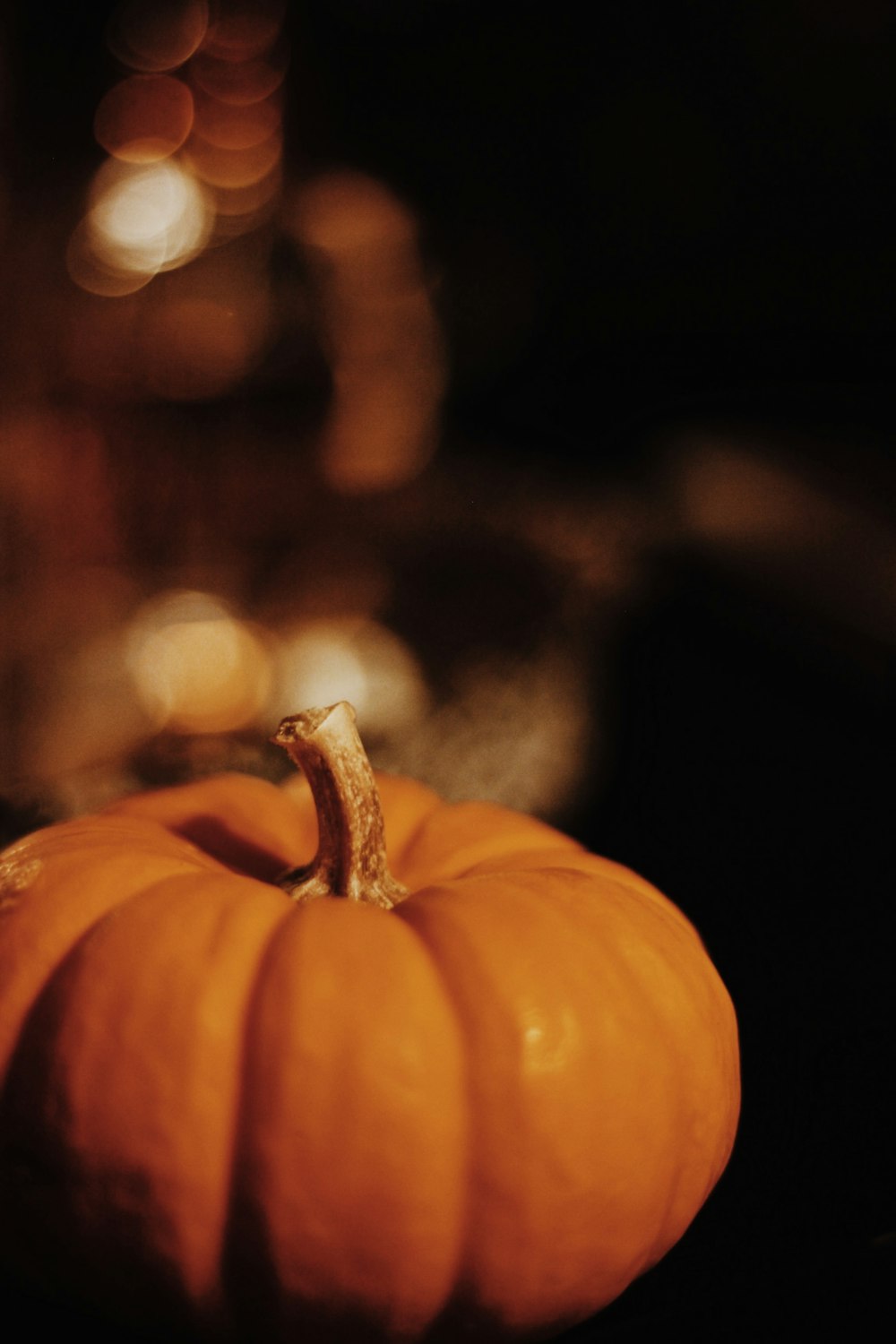 pumpkin fruit selective focal photo