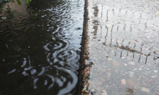 A wet surface reflects the surroundings on a rainy day. Raindrops create ripples in a puddle beside a textured concrete surface. Faint reflections of a fence or railing are visible in the water.