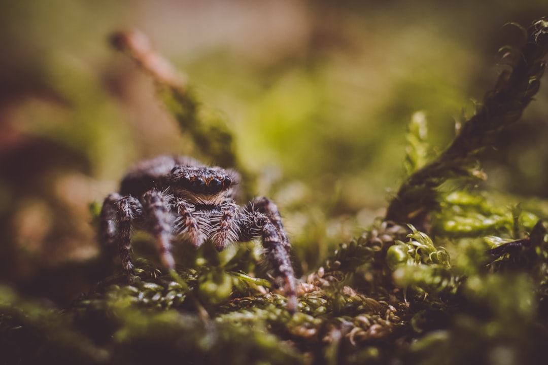 Wildlife photo spot Morvan Natural Regional Park Bray