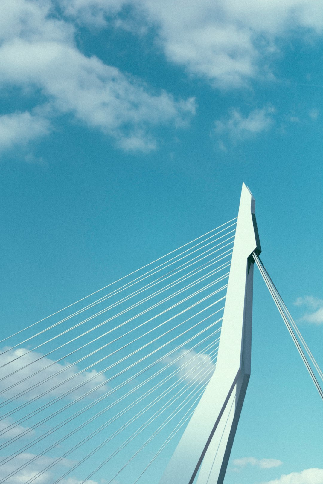 Suspension bridge photo spot Rotterdam Willemsbrug