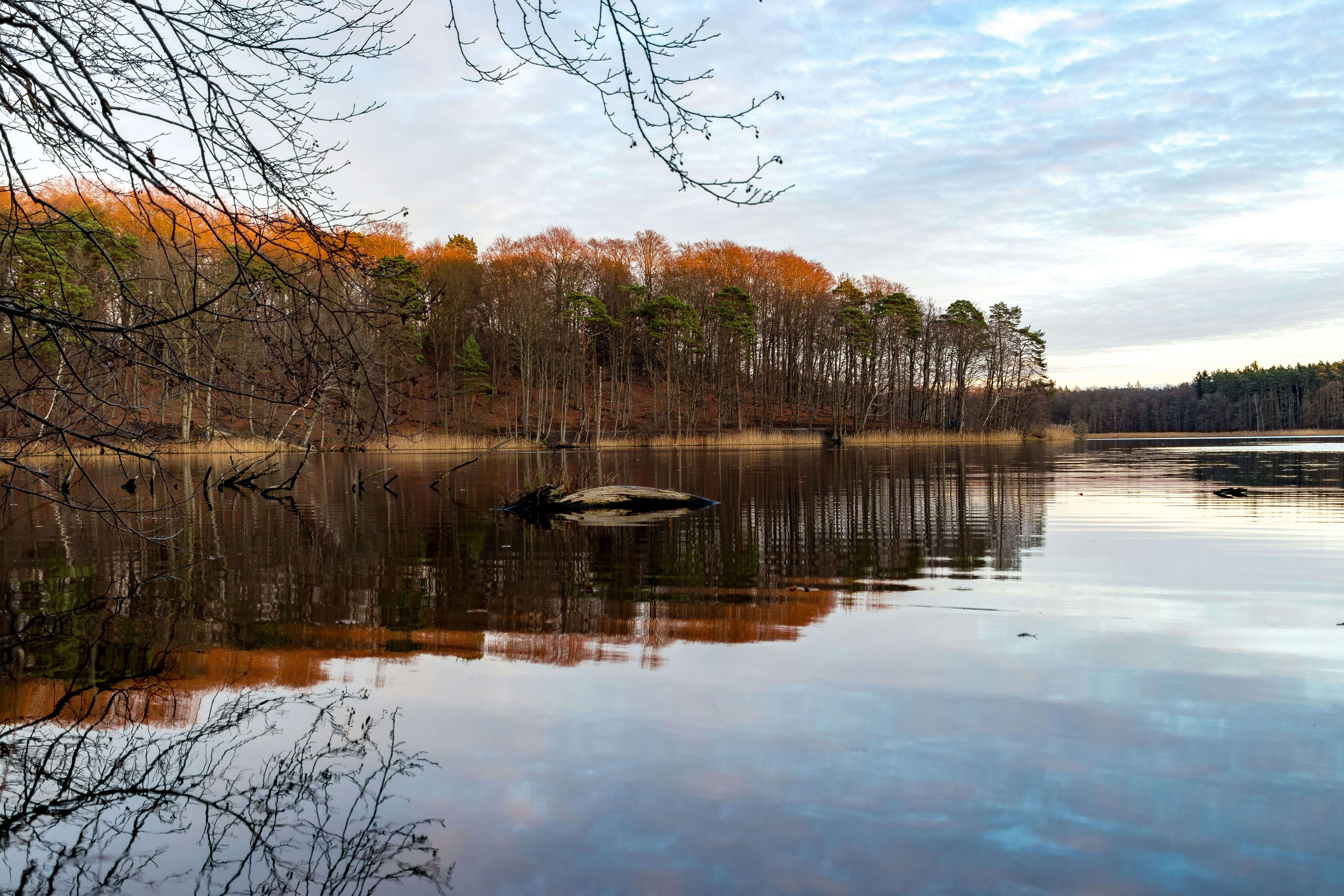 Photo by derwecoreme