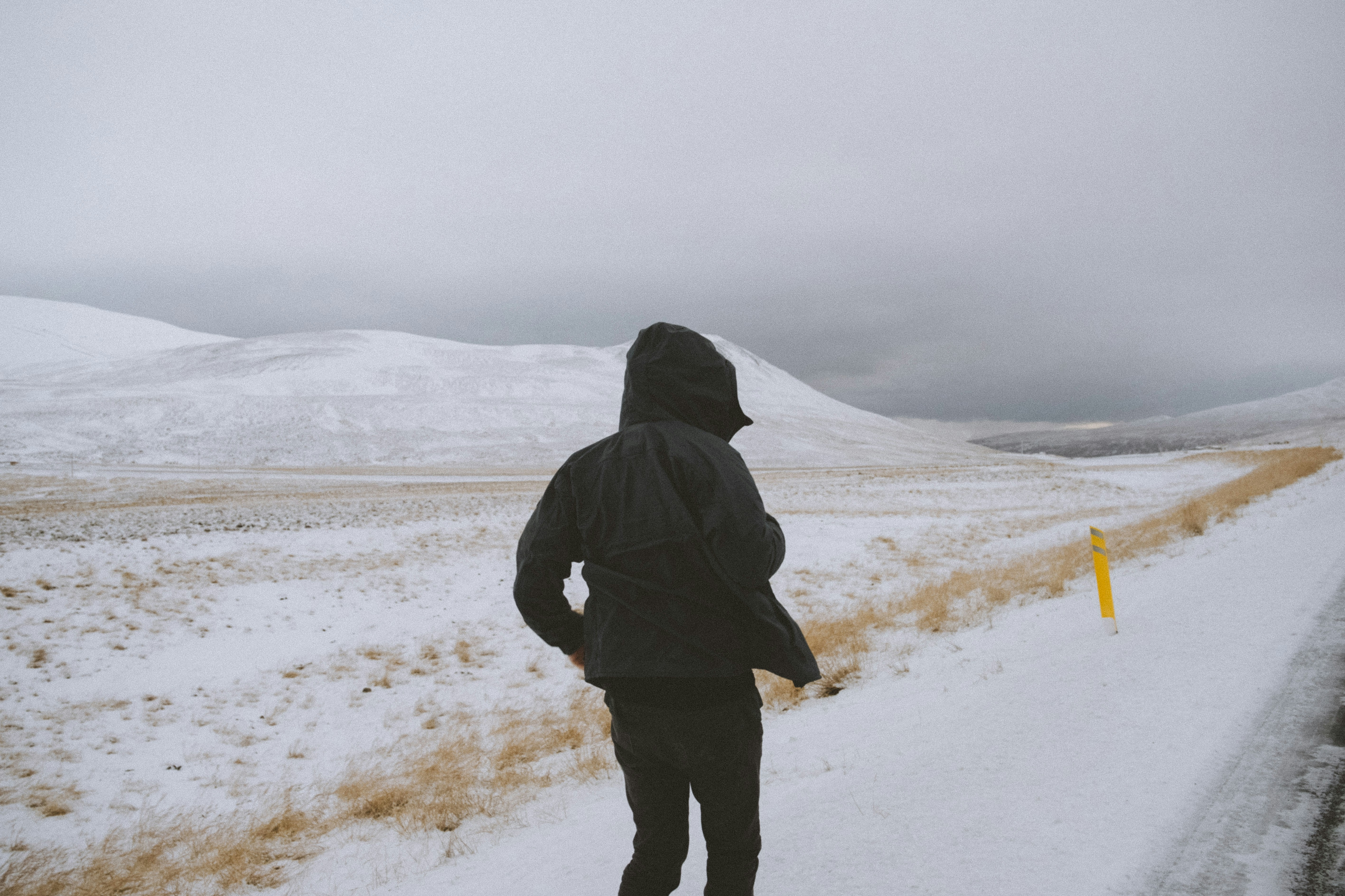 Photo by twentyonekoalas