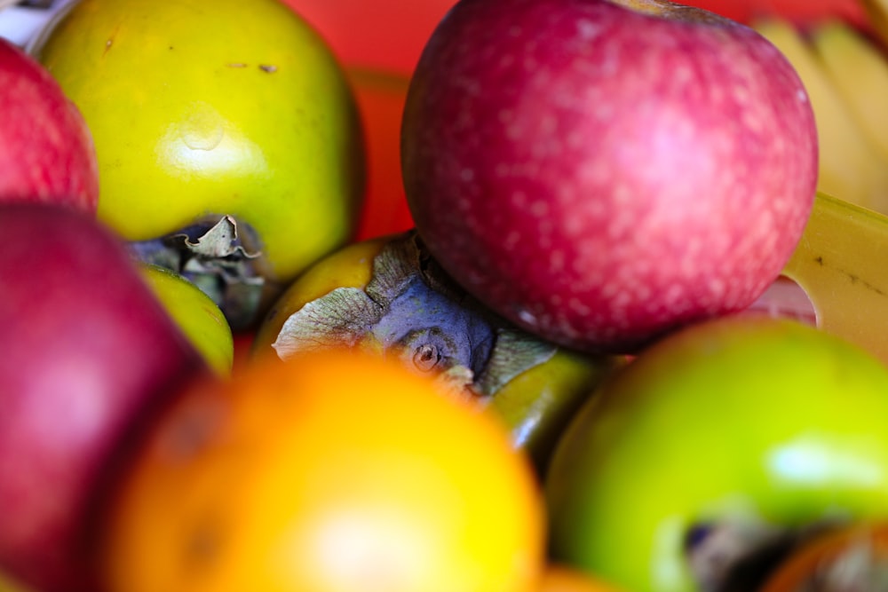 pile of red and green apple fruits