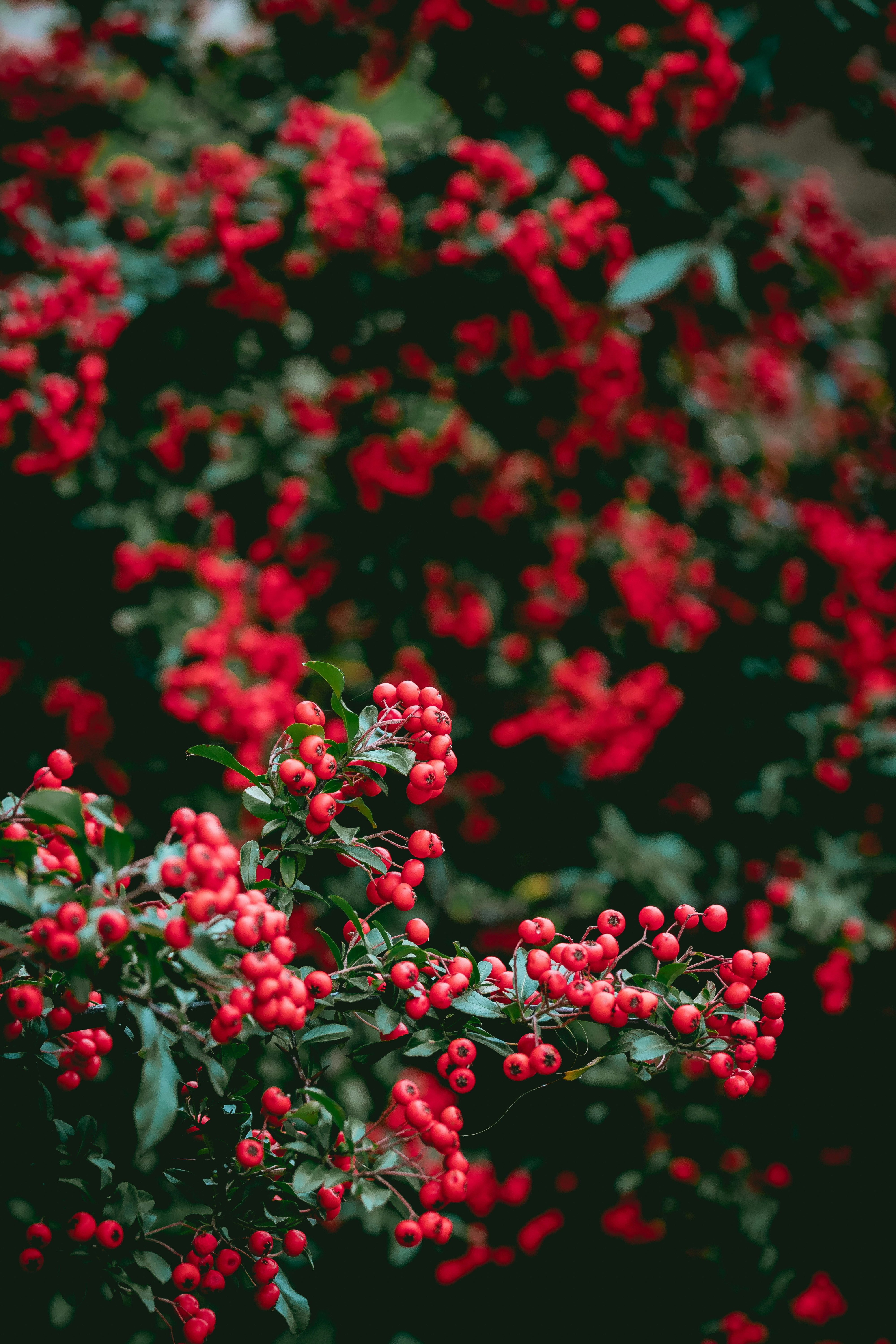 Photo by niklas_hamann