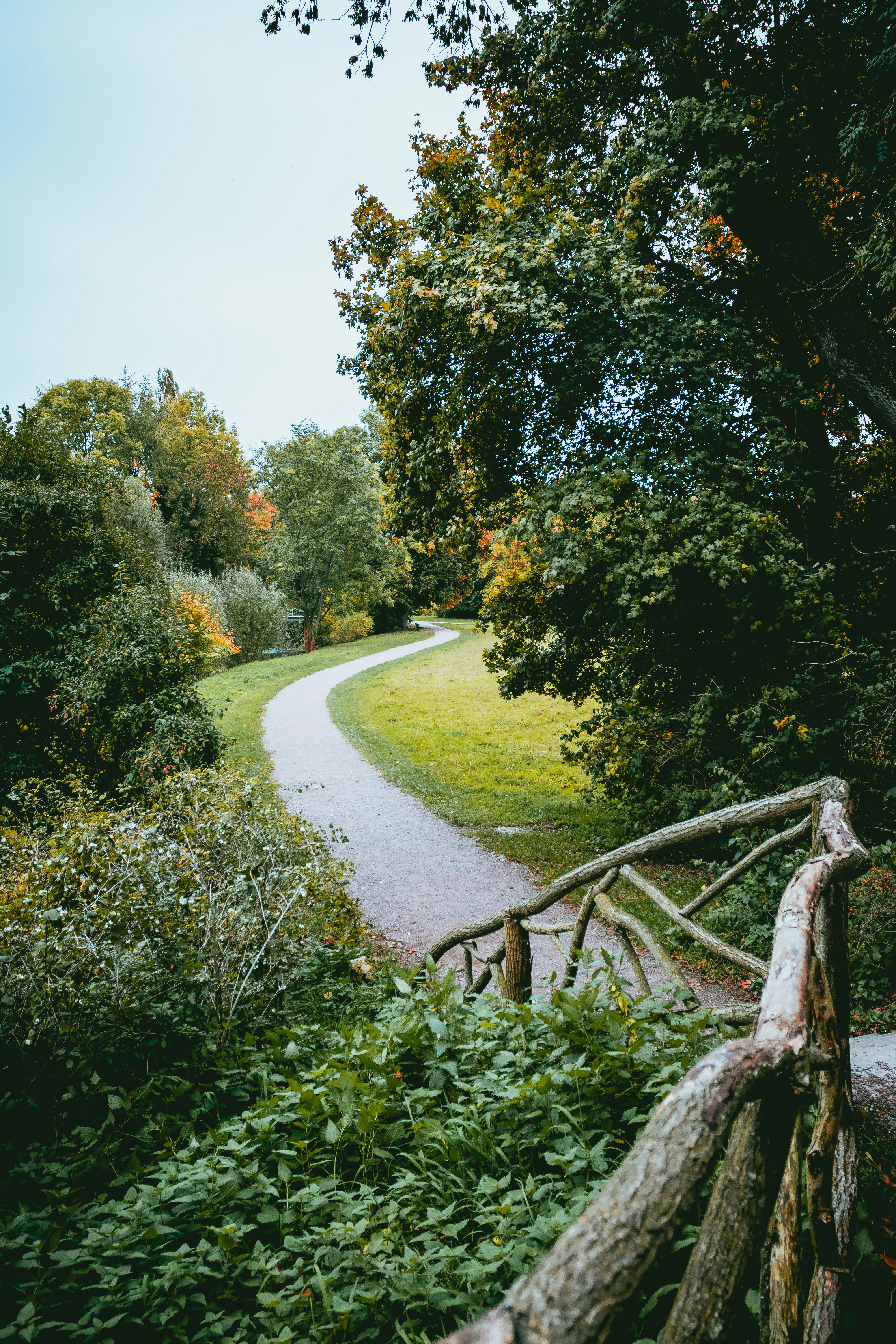 Photo by niklas_hamann