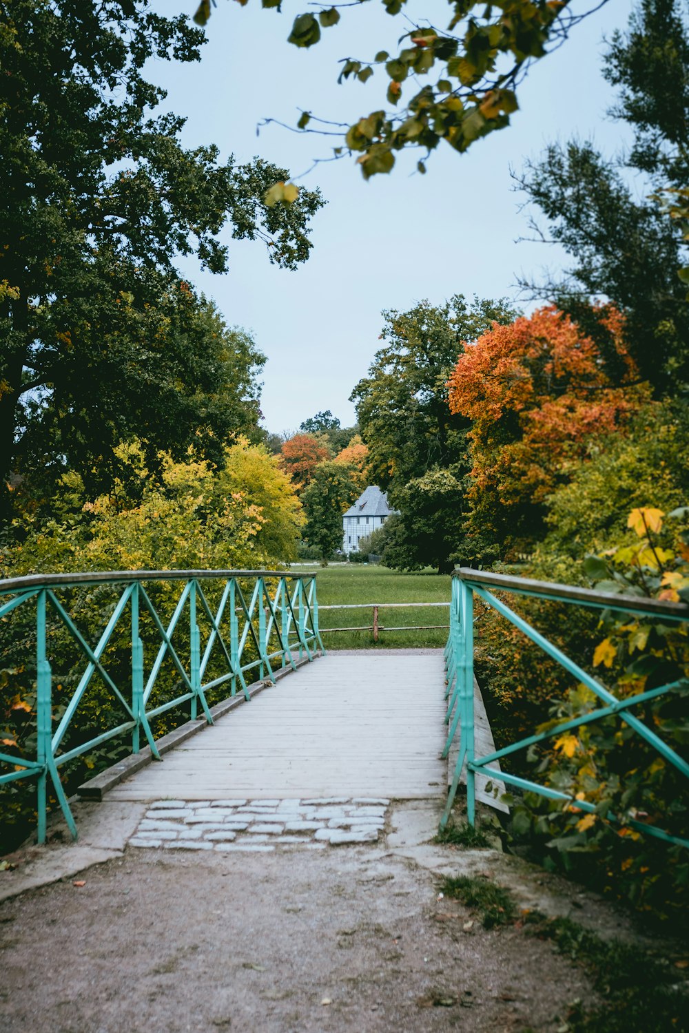 clear teal and brown foot bridge