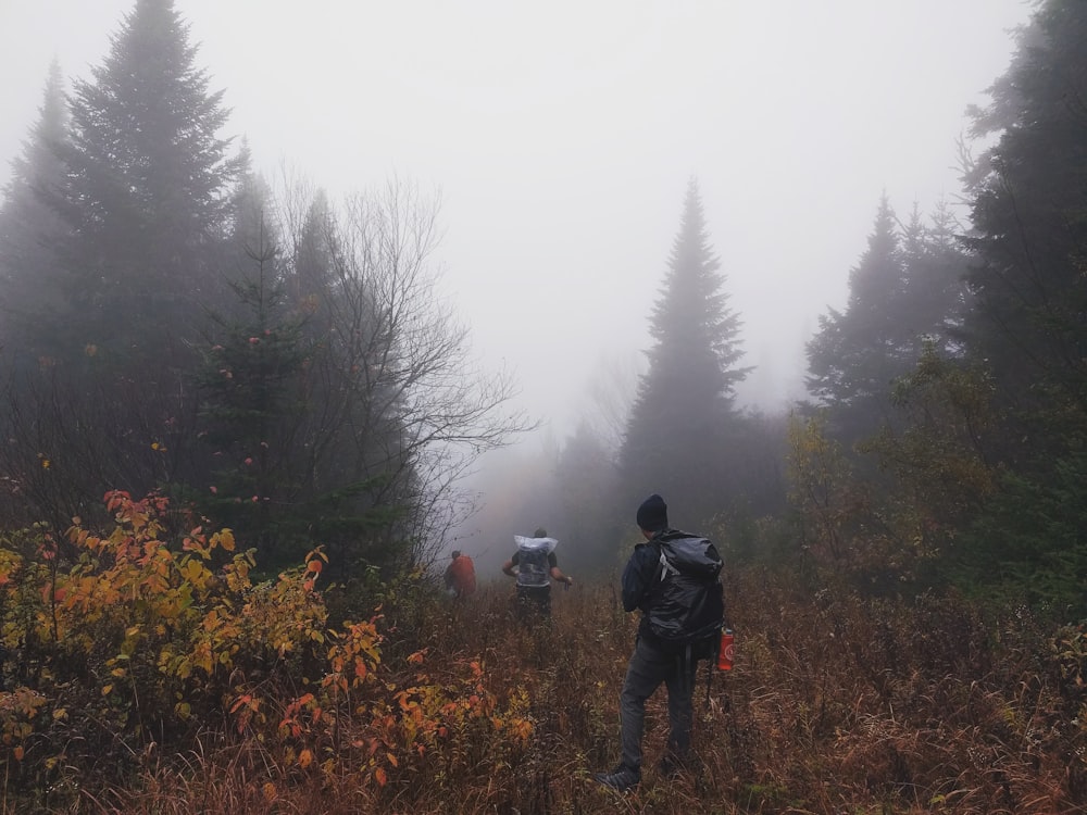 three men walking on forest