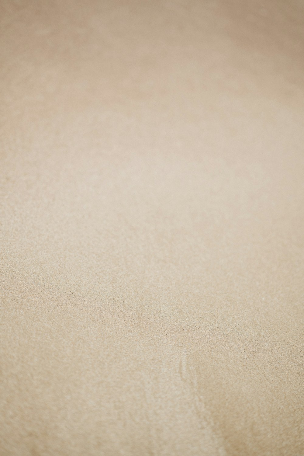 a close up of a sand dune with a blurry background