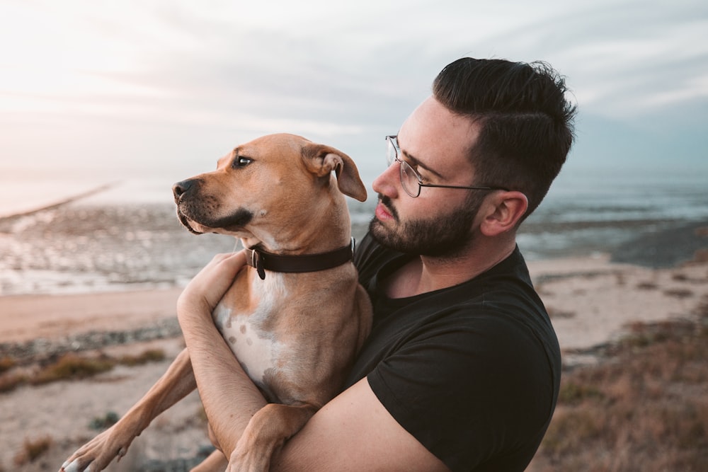 hombre sosteniendo un perro marrón