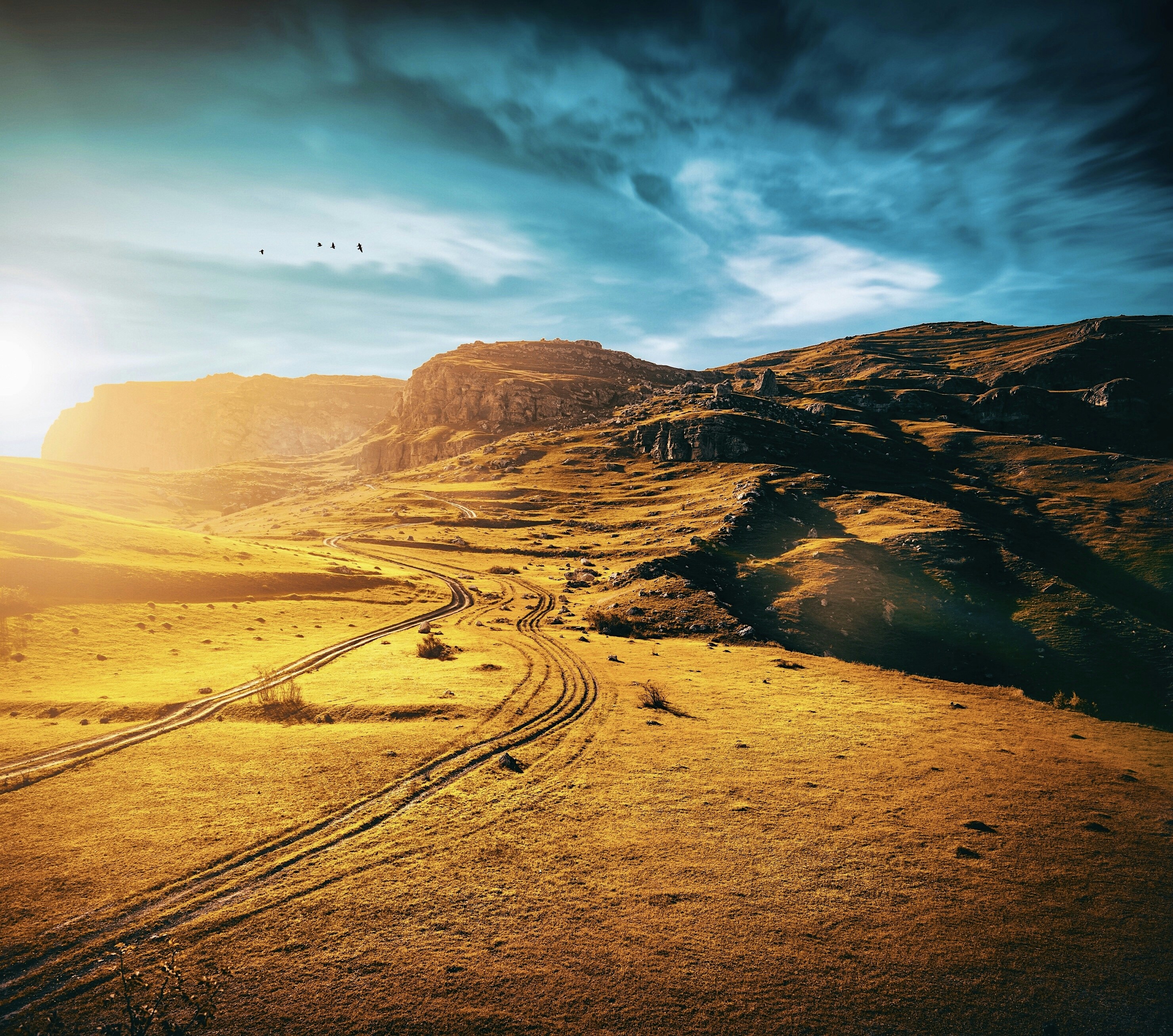 aerial photography of desert field
