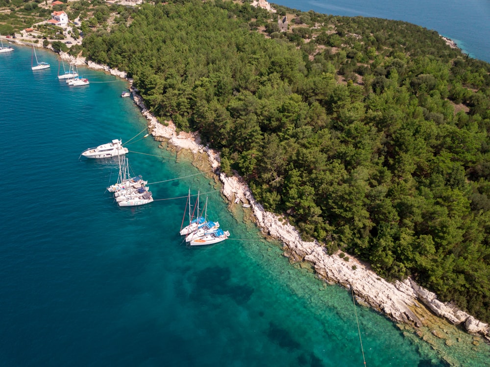 top view of island