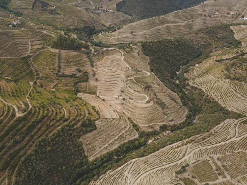 Aerial view of expansive terraced hillsides used for agriculture, featuring curving rows and patches of green vegetation amidst browner earth. Small buildings and roads are scattered throughout the landscape, with dense areas of forested greenery interspersed between the terraces.