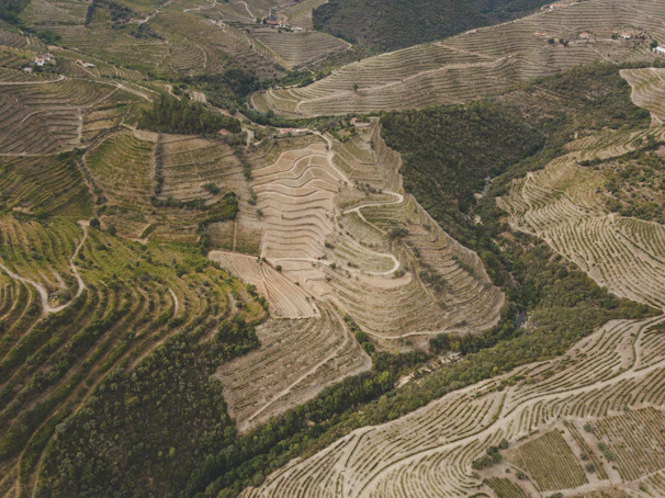 Aerial view of a steep Bali hillside showing zoning boundaries and access roads.