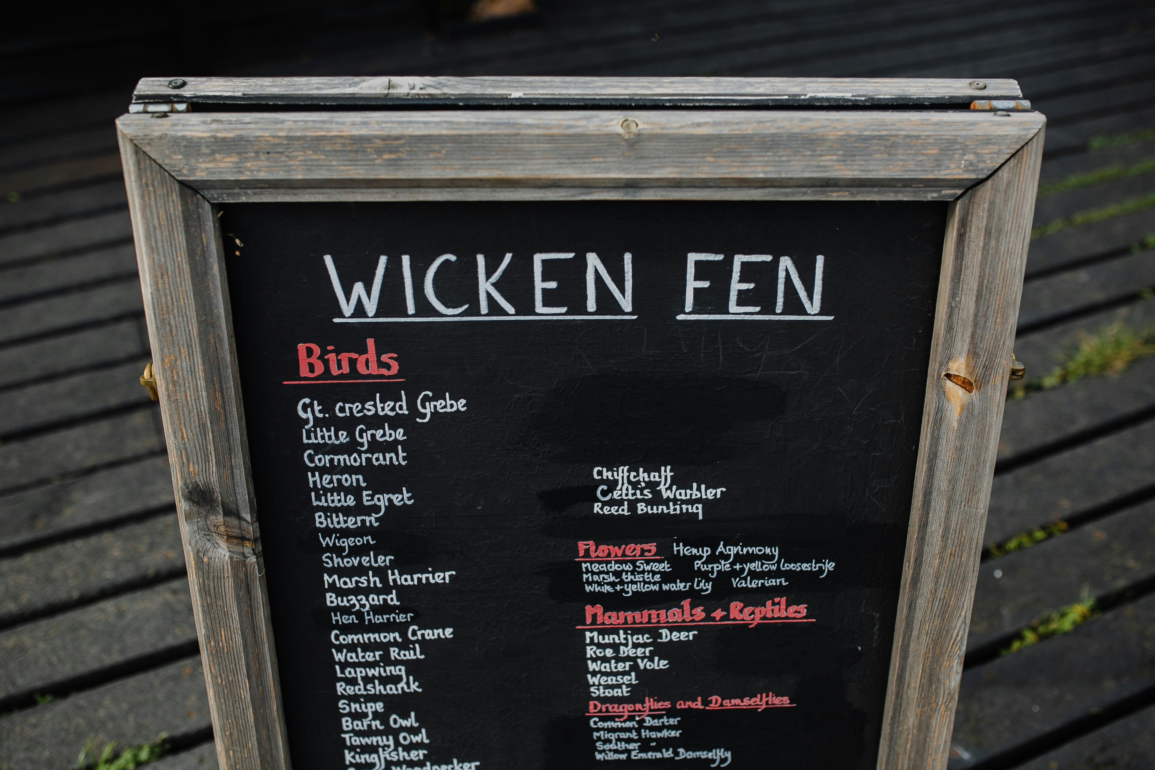 Wicken Fen menu