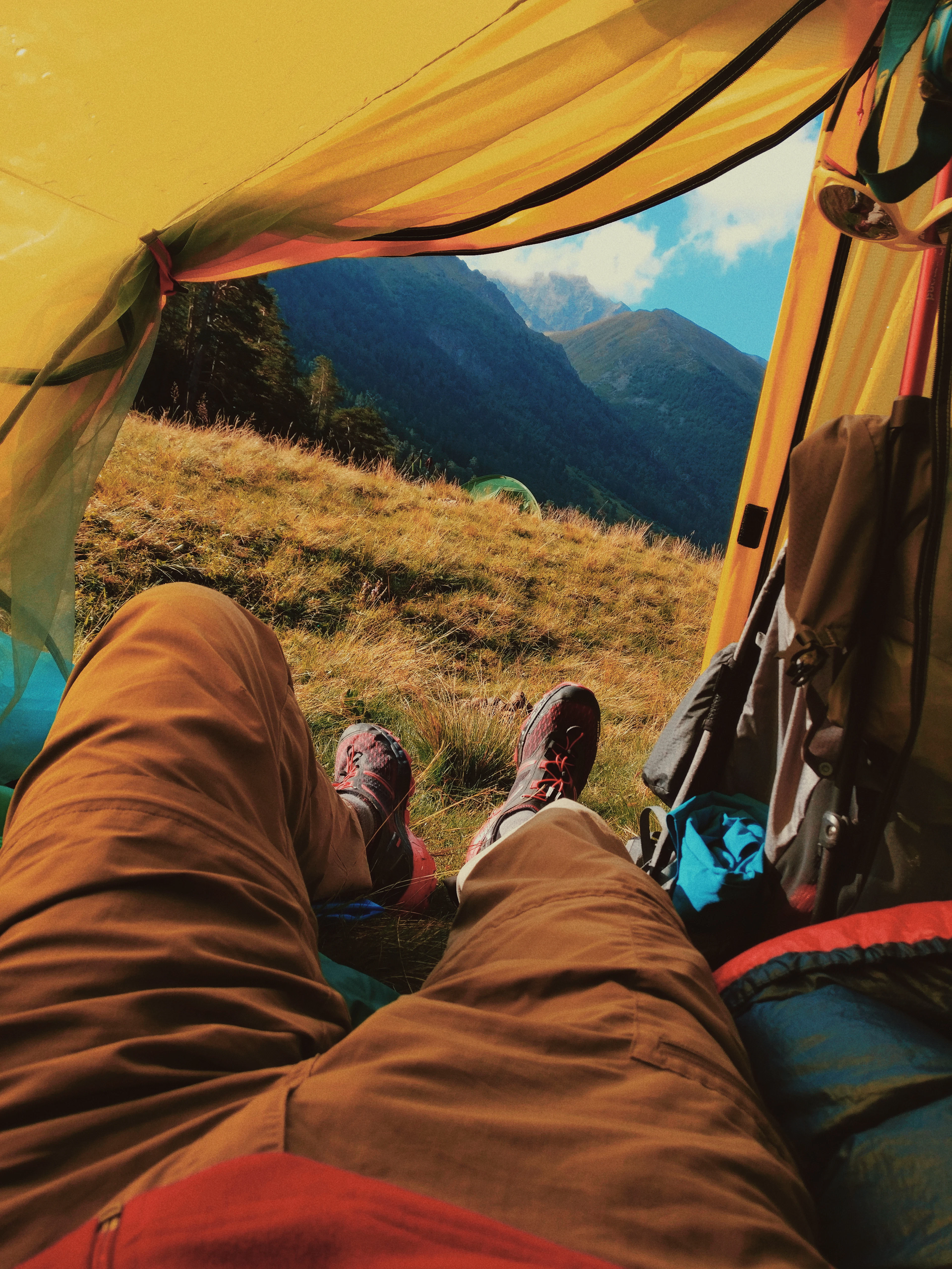 Looking out of a tent door onto a mountain meadow