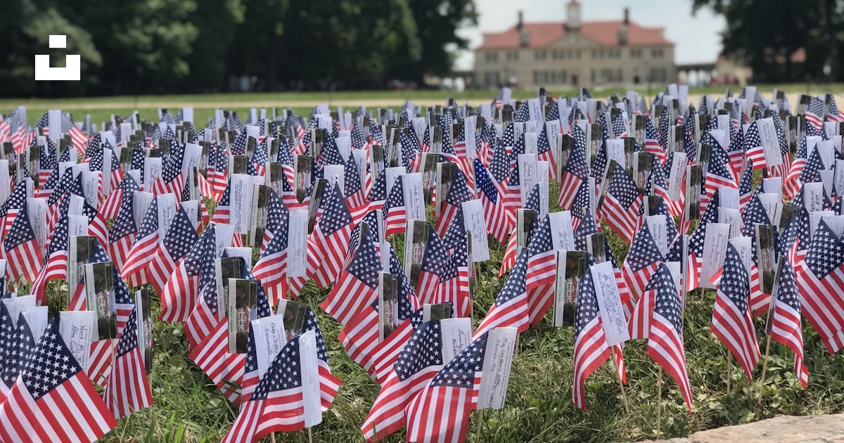 U.S.A. flaglets on grass field photo – Free Building Image on Unsplash