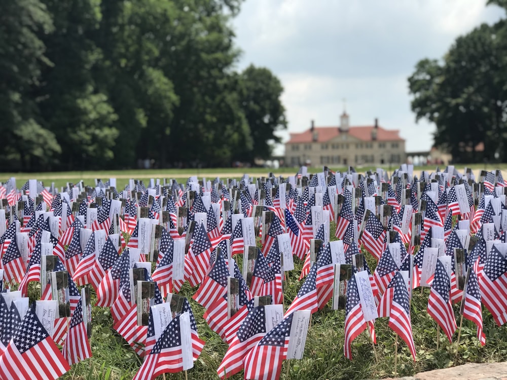 U.S.A. flaglets on grass field