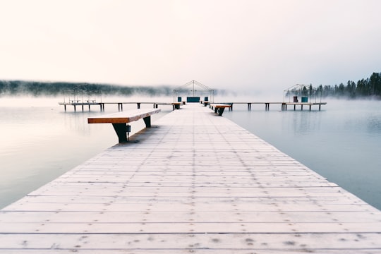 brown bench on brown wooden bridge in Redfish Lake United States