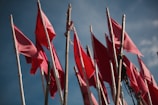 Windbanners fluttering in the breeze, featuring clear political messages and bright colors.
