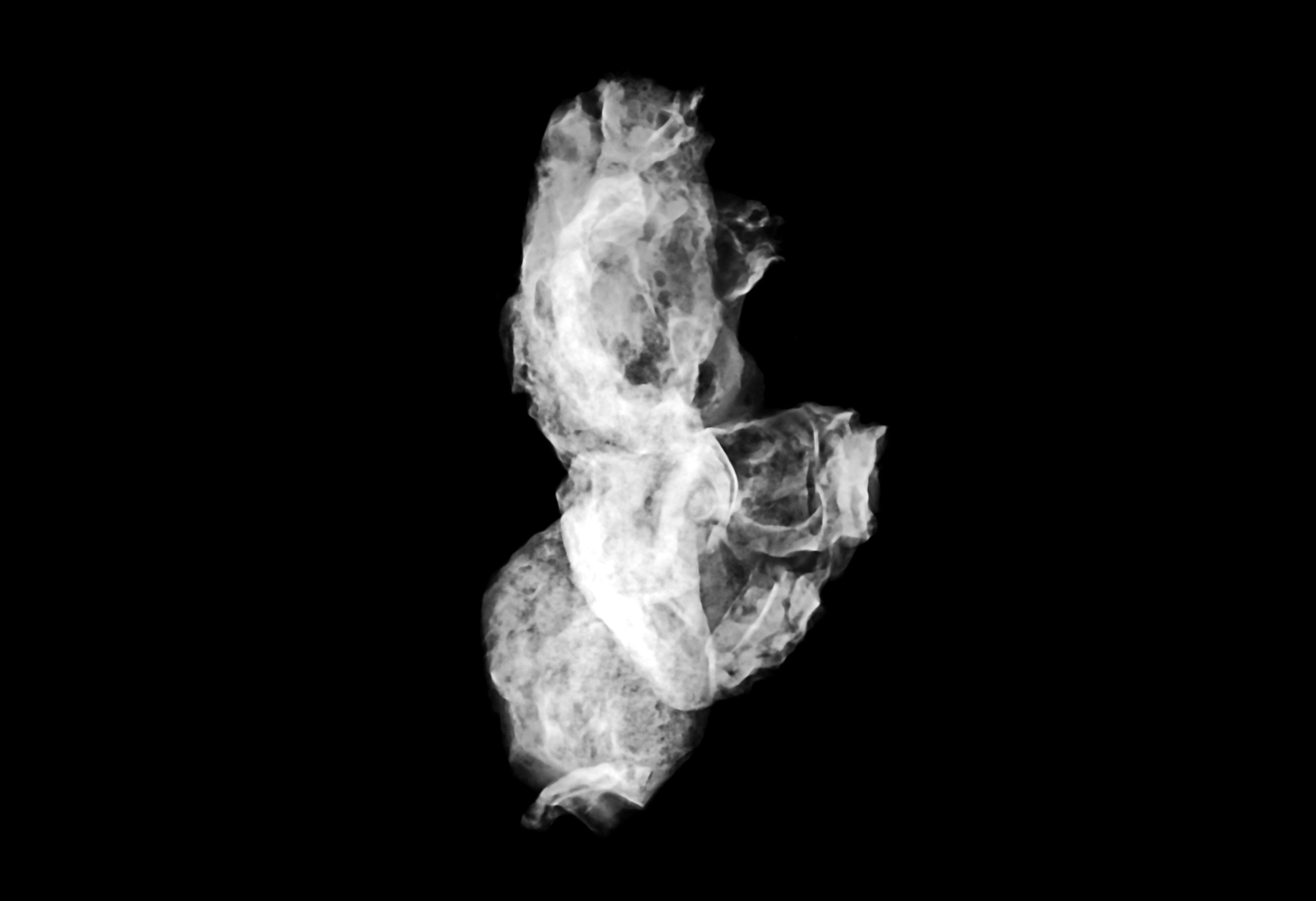 白い煙の壁紙の写真 Unsplashの無料写真