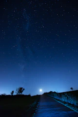 Serene image of a person walking on a path under a starry sky with soft moonlight