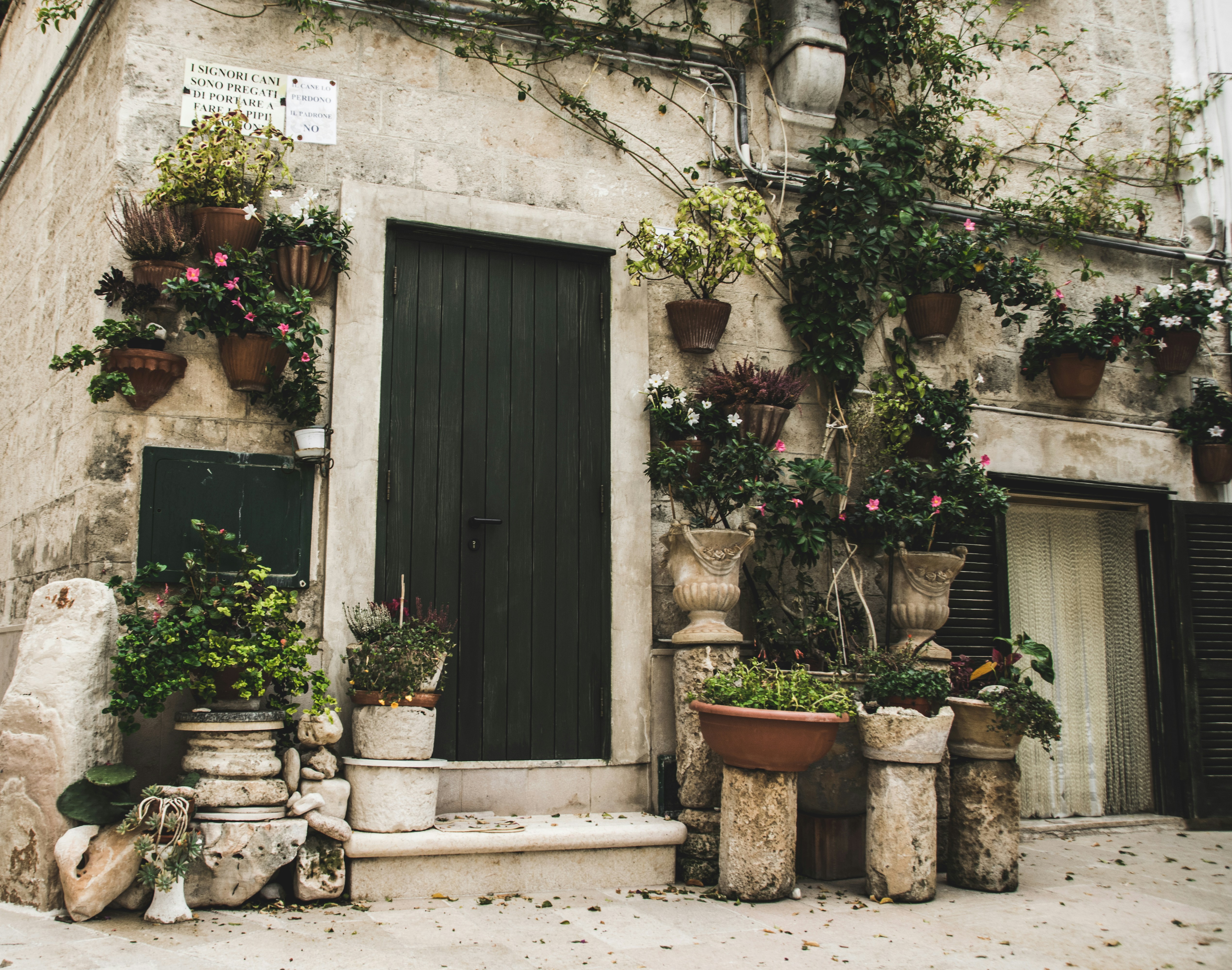 Photo by tobychristopher