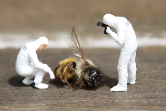 Two miniature figures dressed in white hazmat suits are examining a large bee. One figure is crouched down, observing closely, while the other is standing, taking photographs. The bee is positioned on a wooden surface, appearing as a giant in comparison to the tiny figures.