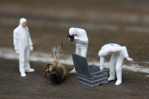 brown bee on surface