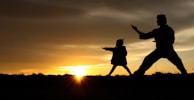 A sunset backdrop with practitioners silhouetted in a taijiquan pose, embodying harmony.