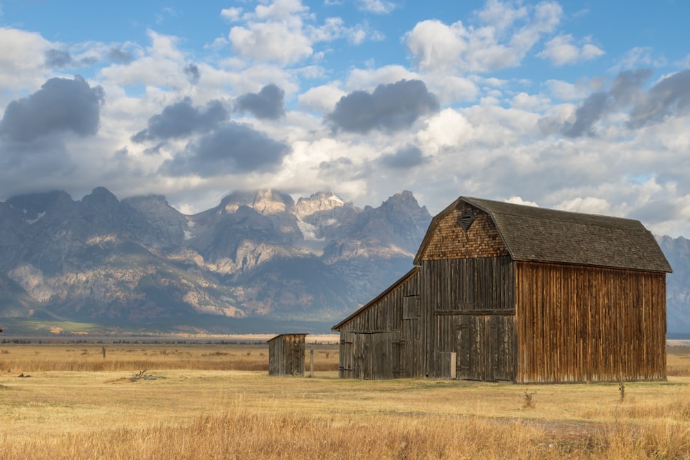 brown wooden barn