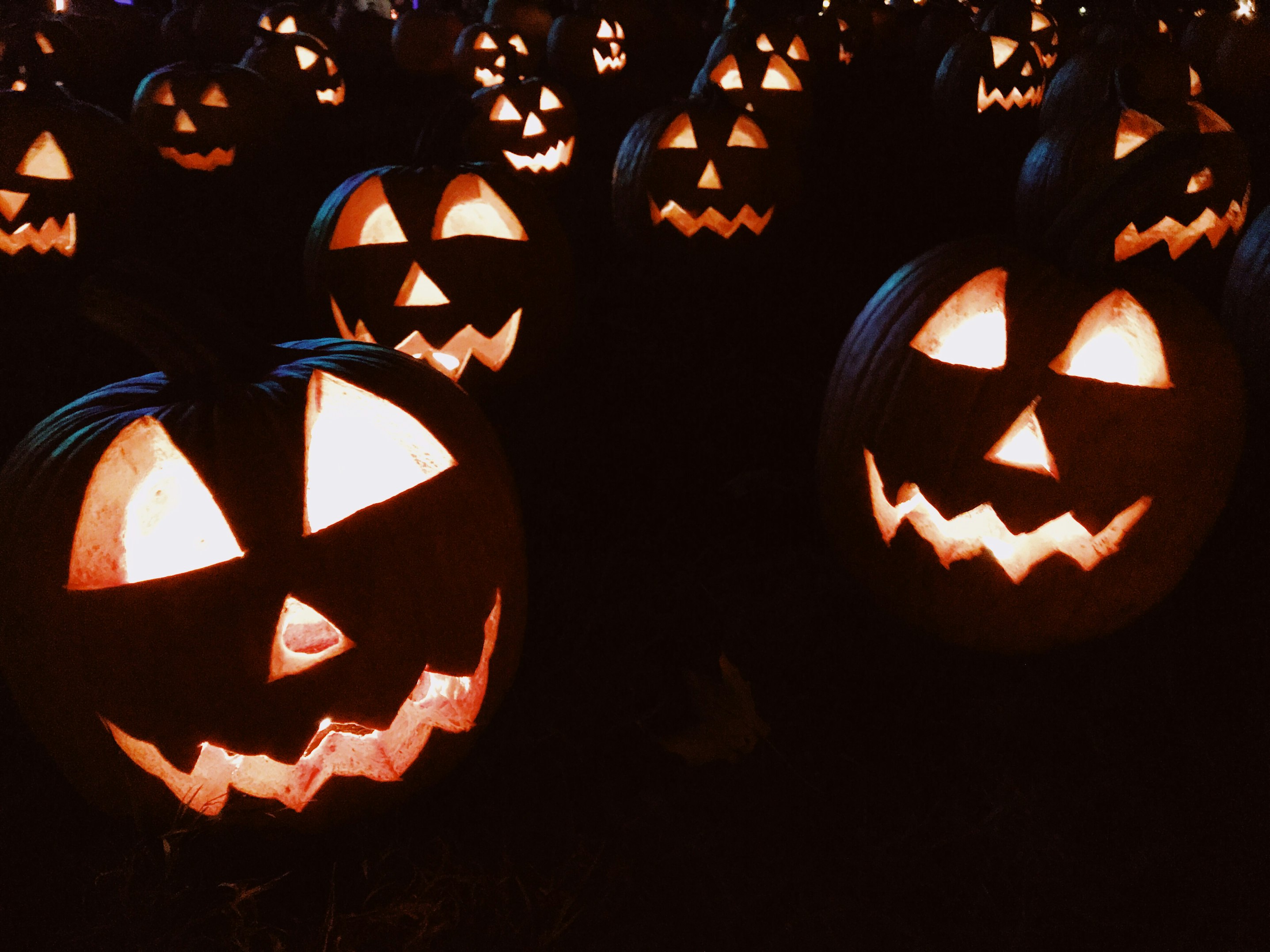 image of jack-o-lanterns