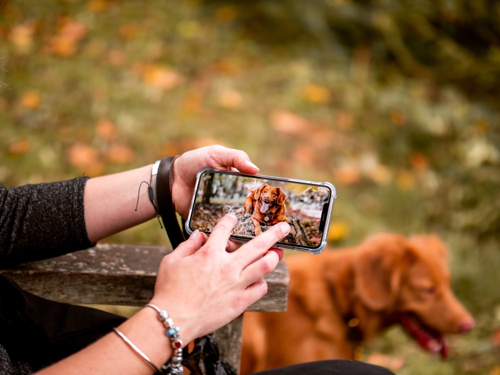 person holding smartphone on bench